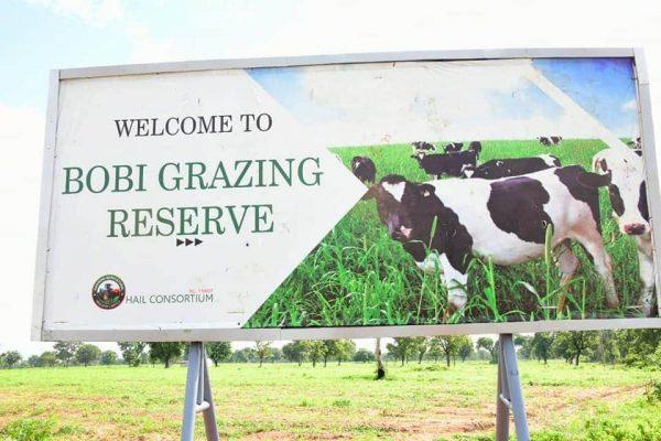 600 people in Bobi grazing reserve benefit from free medical services