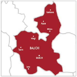 Labour issues: Bauchi tertiary institutions seek governor's intervention