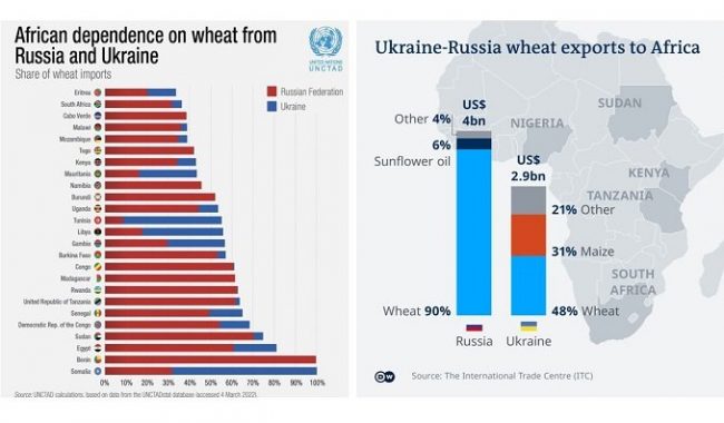 Ukraine/Russia: Africa food crisis looms as war continues – HRW