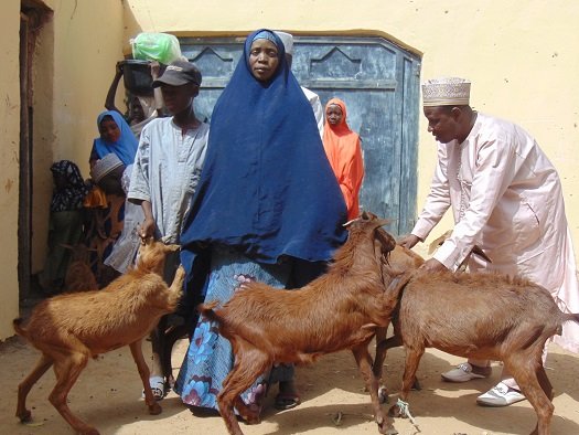Zakat as lifebelt to widows, poor and orphans in Sokoto