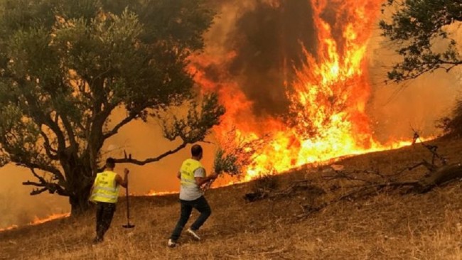 OIC sympathises with Algeria as bush fire kills 26